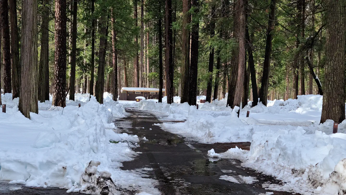 Upper Pines Campground photo 2