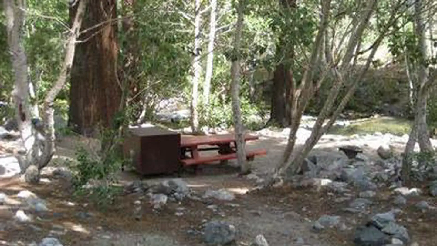 UPPER SAGE FLAT photo