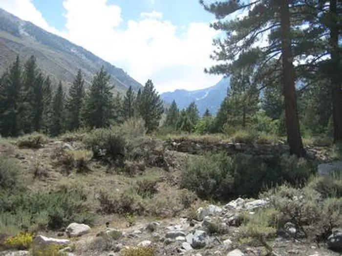 UPPER SAGE FLAT photo 5