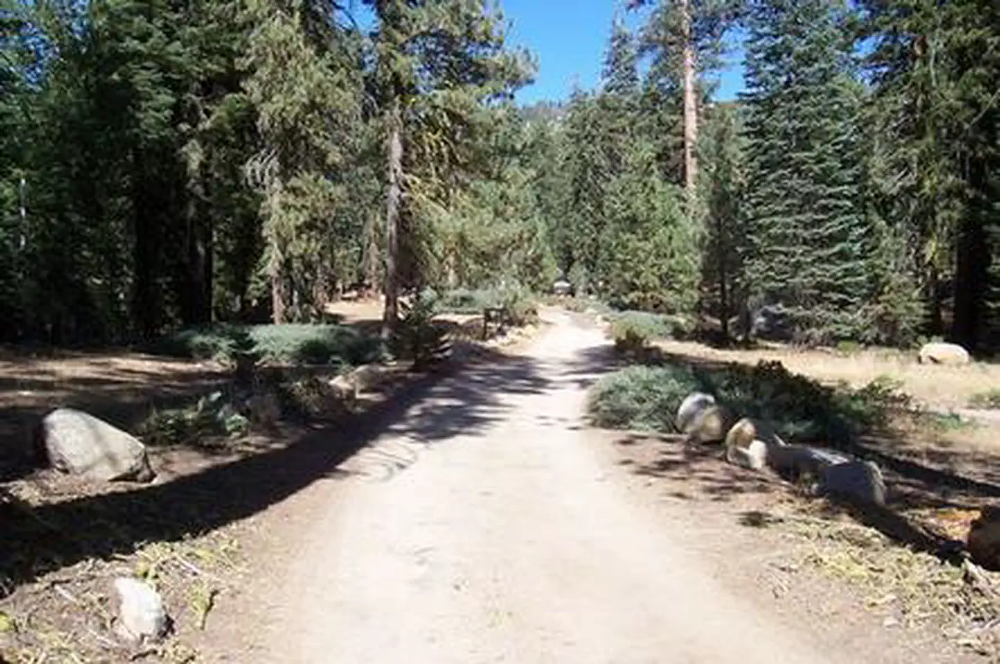 UPPER STONY CREEK CAMPGROUND photo 5