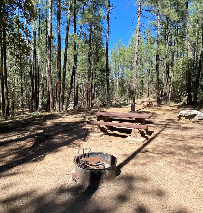 Upper Tonto Creek photo 5