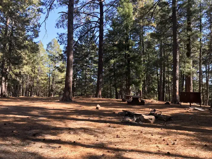 UPPER TWILIGHT GROUP SITE photo 2