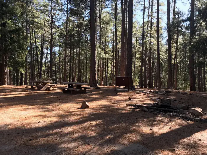 UPPER TWILIGHT GROUP SITE photo 5