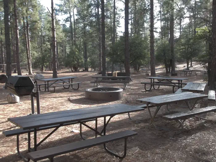 UPPER WOLF CREEK GROUP photo 2