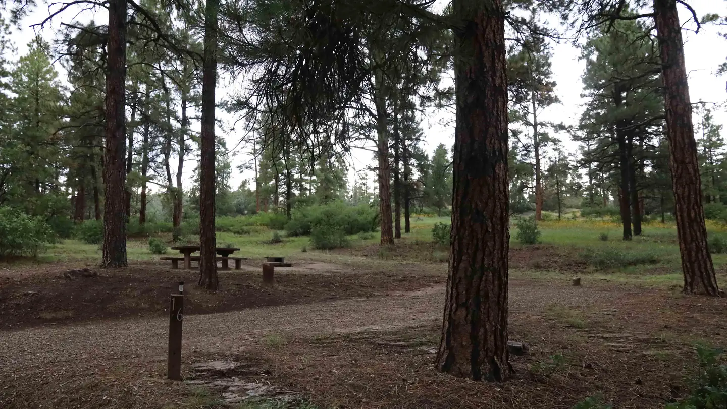 Ute Campground (CO) photo