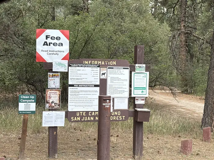 Ute Campground (CO) photo 5