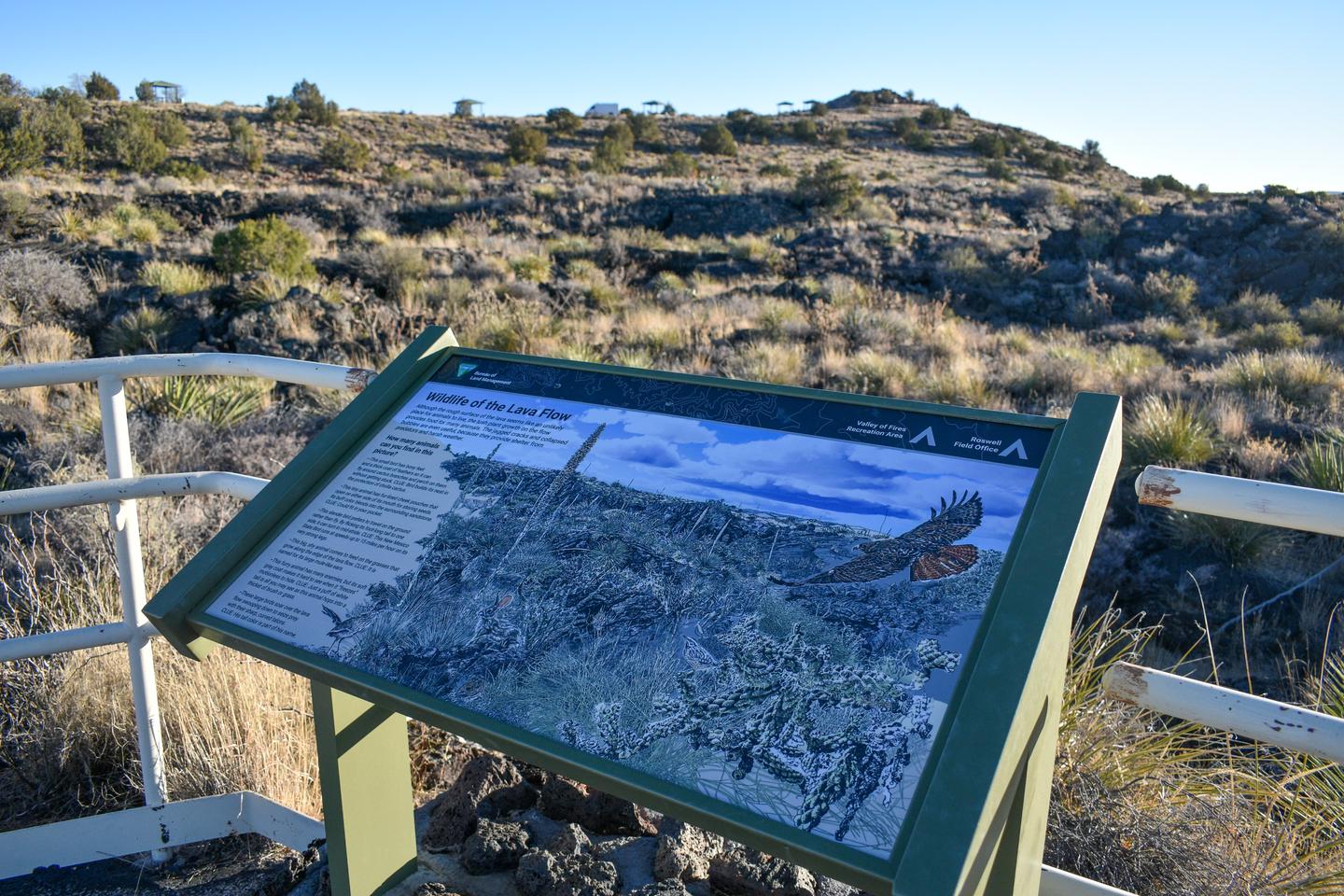 Valley of Fires Recreation Area photo 2