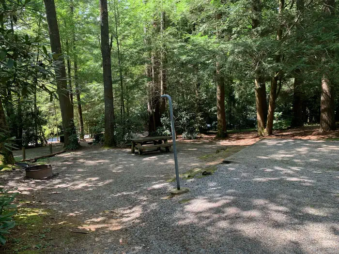 VAN HOOK GLADE photo 2