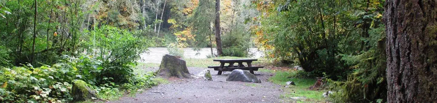 Verlot Campground photo