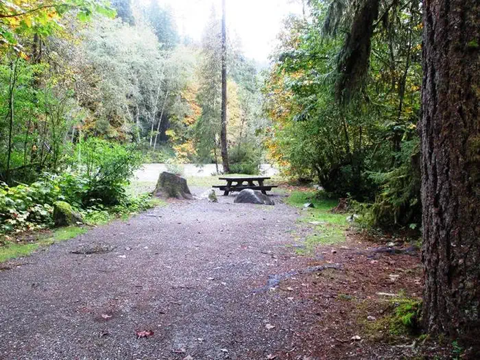 Verlot Campground photo 2