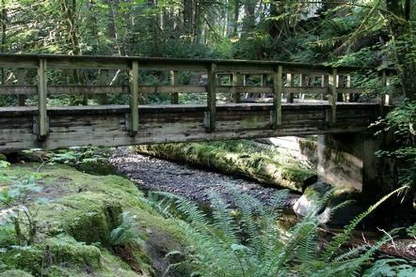 Verlot Campground photo 5