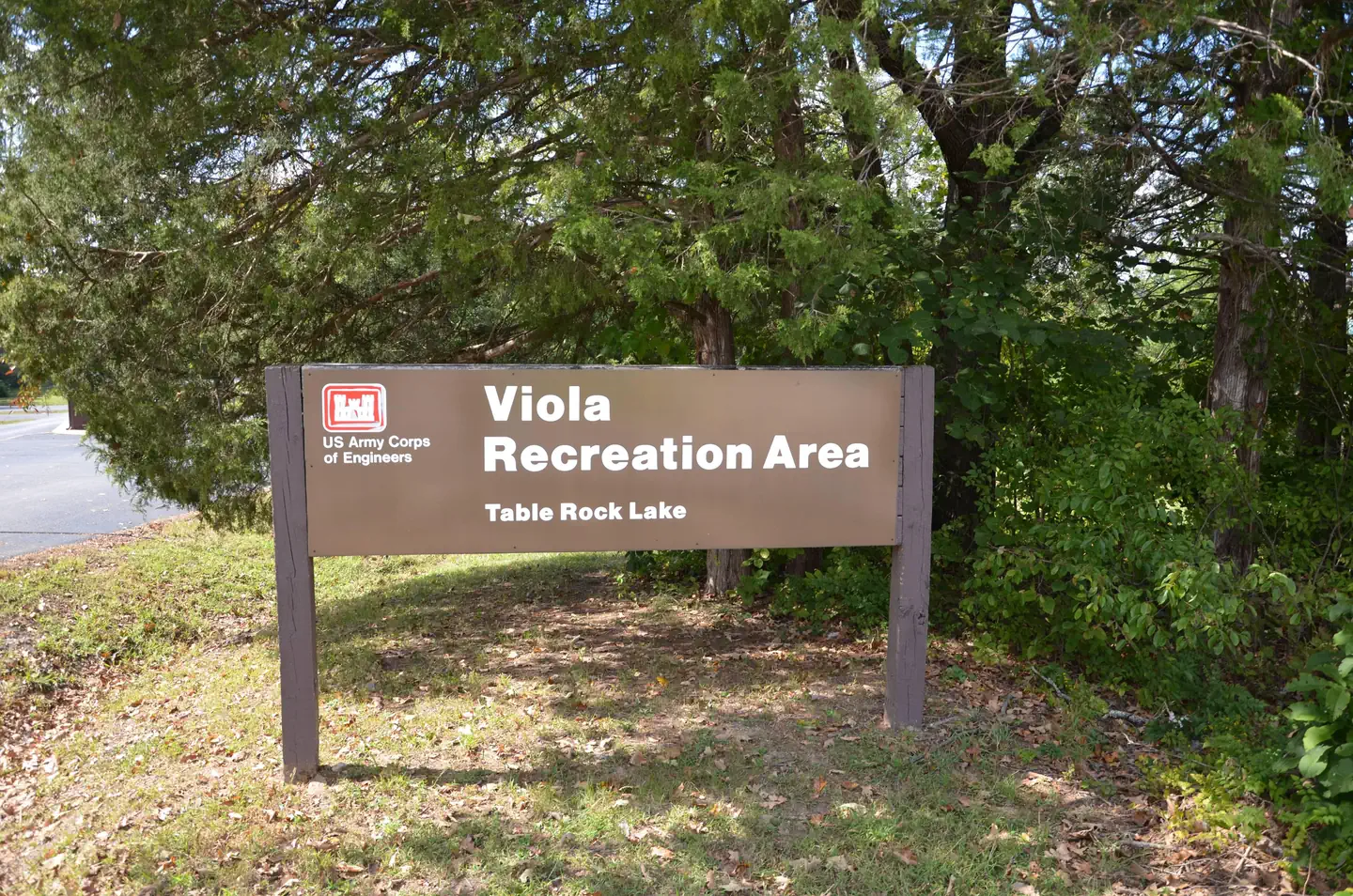 VIOLA photo 3