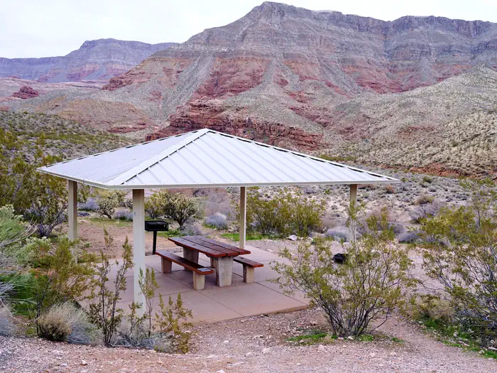Virgin River Canyon Recreation Area photo 3