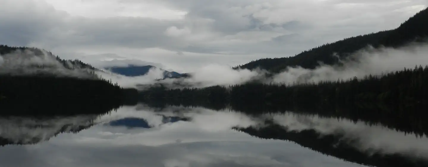 VIRGINIA LAKE CABIN photo