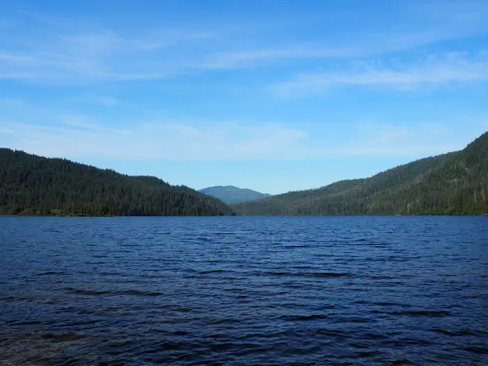 VIRGINIA LAKE CABIN photo 3