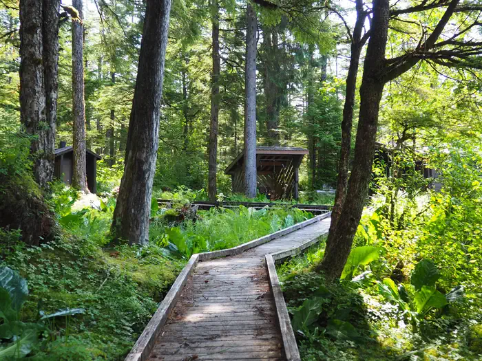 VIRGINIA LAKE CABIN photo 5