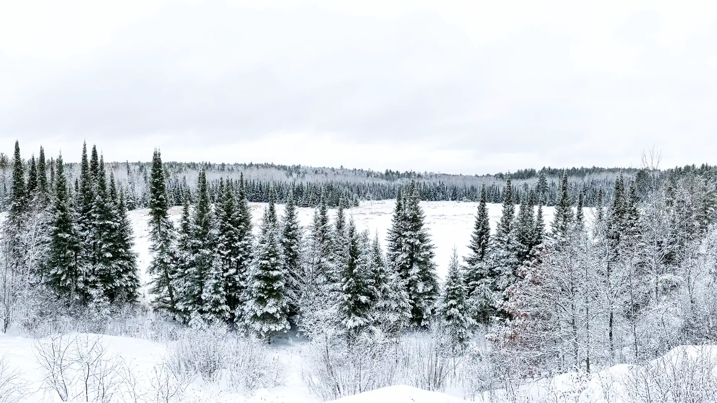 Voyageurs National Park Winter Equipment Rentals photo