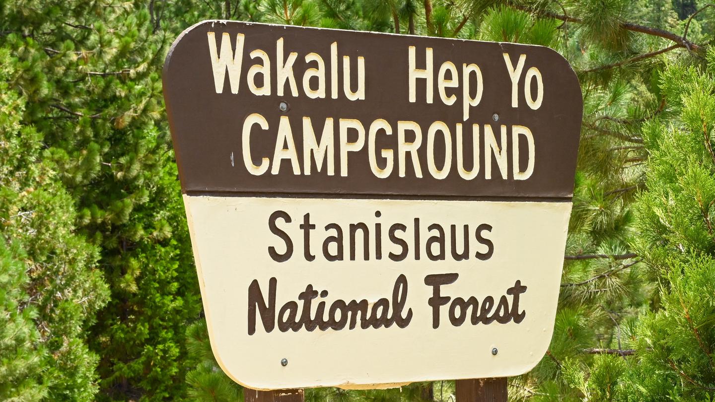 Waka Lu Hep Yo photo