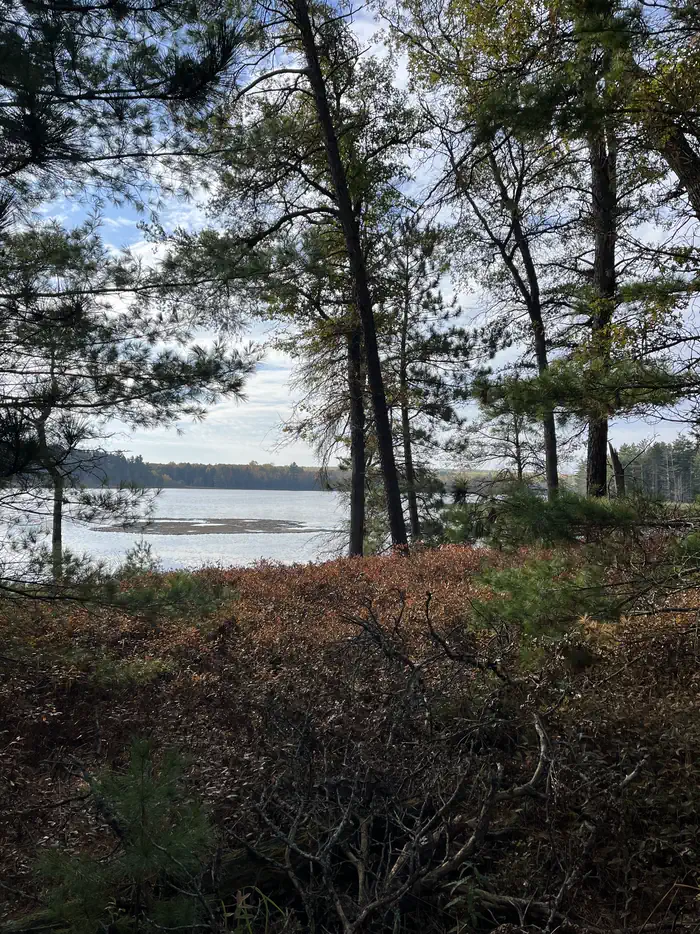 Wakeley Lake Campground photo 2