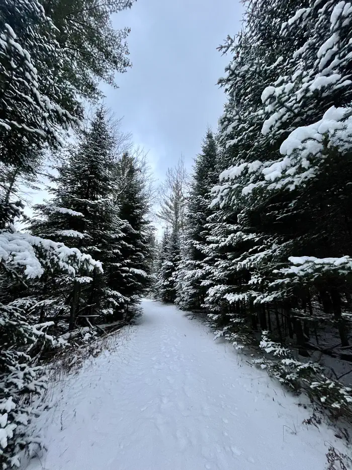 Wakeley Lake Campground photo 3