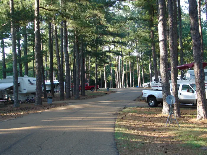 WALLACE CREEK photo 4