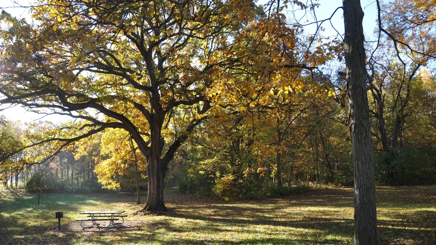 WALNUT RIDGE RECREATION AREA photo