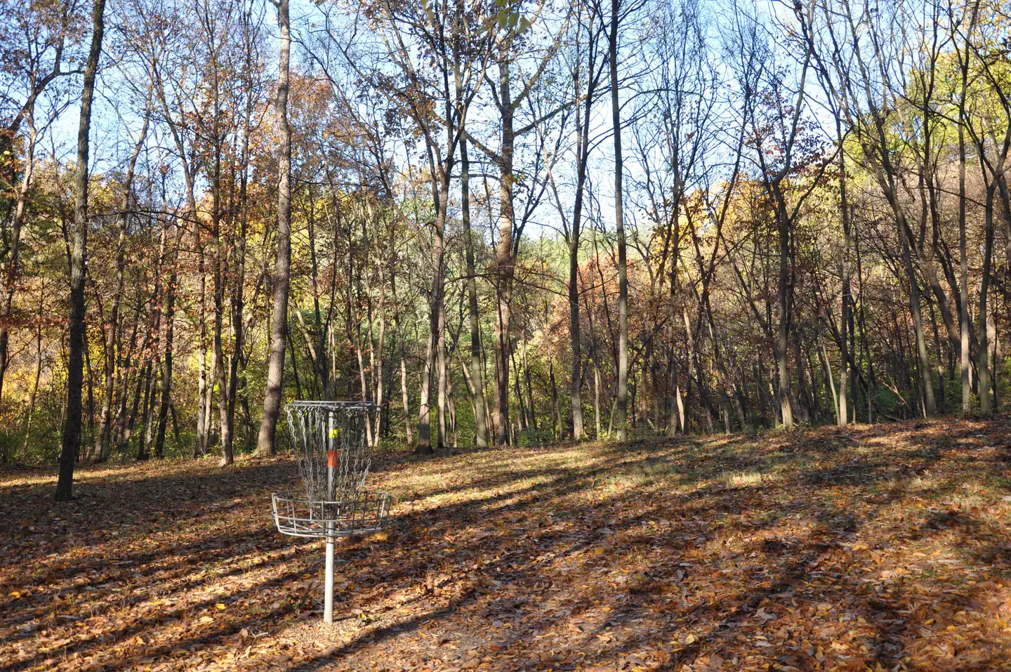 WALNUT RIDGE RECREATION AREA photo 3