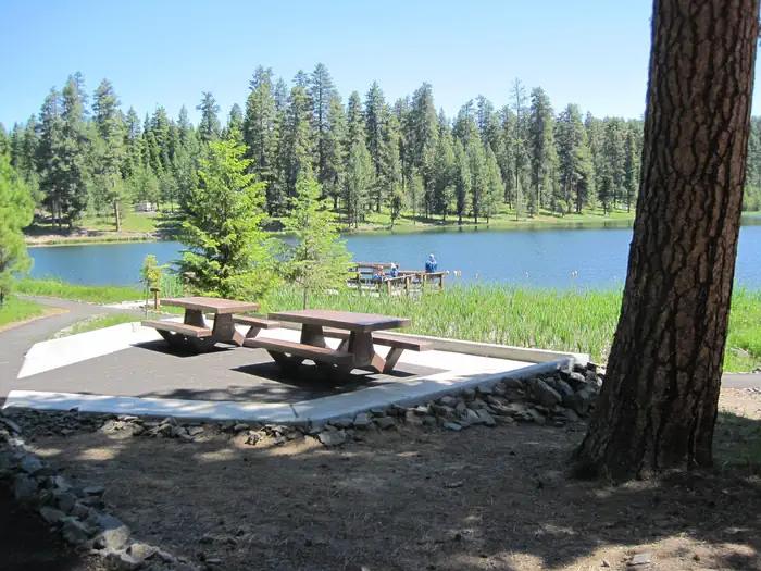 WALTON LAKE photo 4