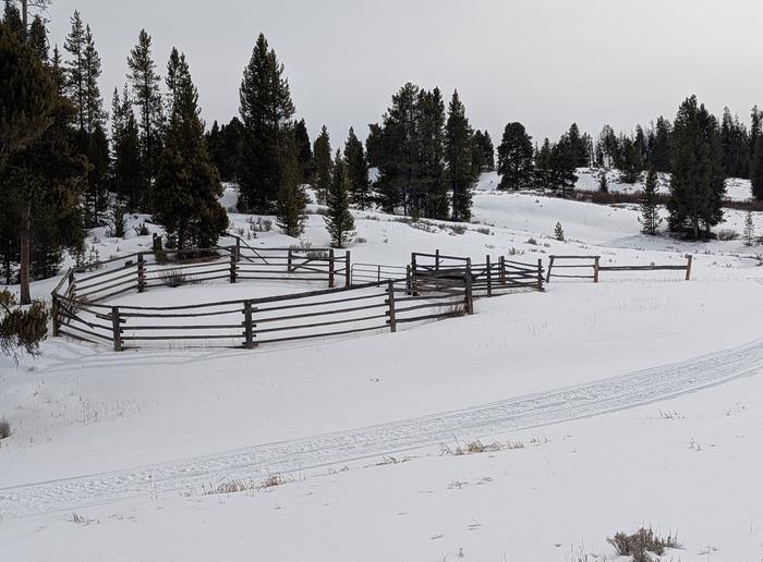 WAPITI CABIN photo 5