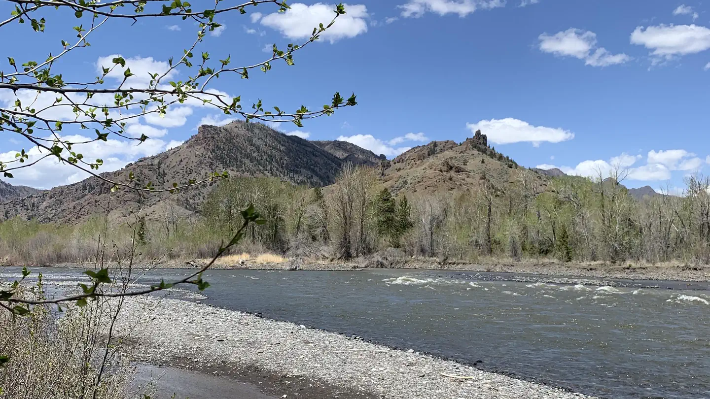WAPITI CAMPGROUND photo