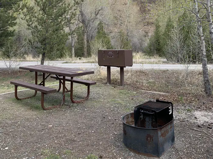 WAPITI CAMPGROUND photo 3
