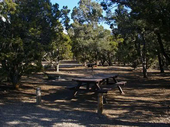 WARD MTN. CAMPGROUND (MURRAY SUMMIT) photo 2