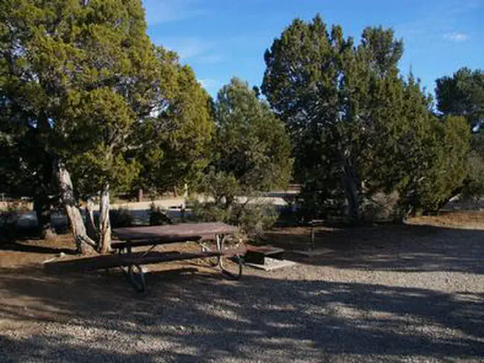 WARD MTN. CAMPGROUND (MURRAY SUMMIT) photo 3