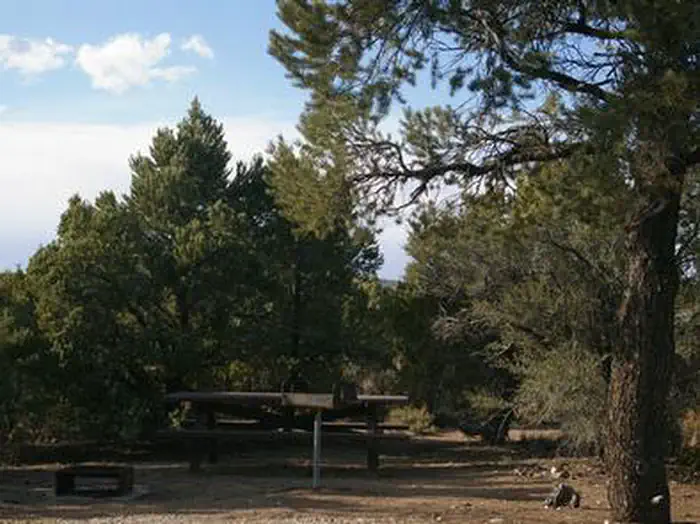 WARD MTN. CAMPGROUND (MURRAY SUMMIT) photo 4