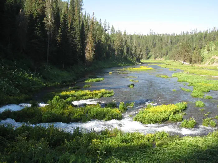 WARM RIVER CABIN photo 5