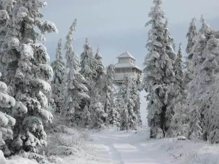 WARNER MOUNTAIN LOOKOUT photo