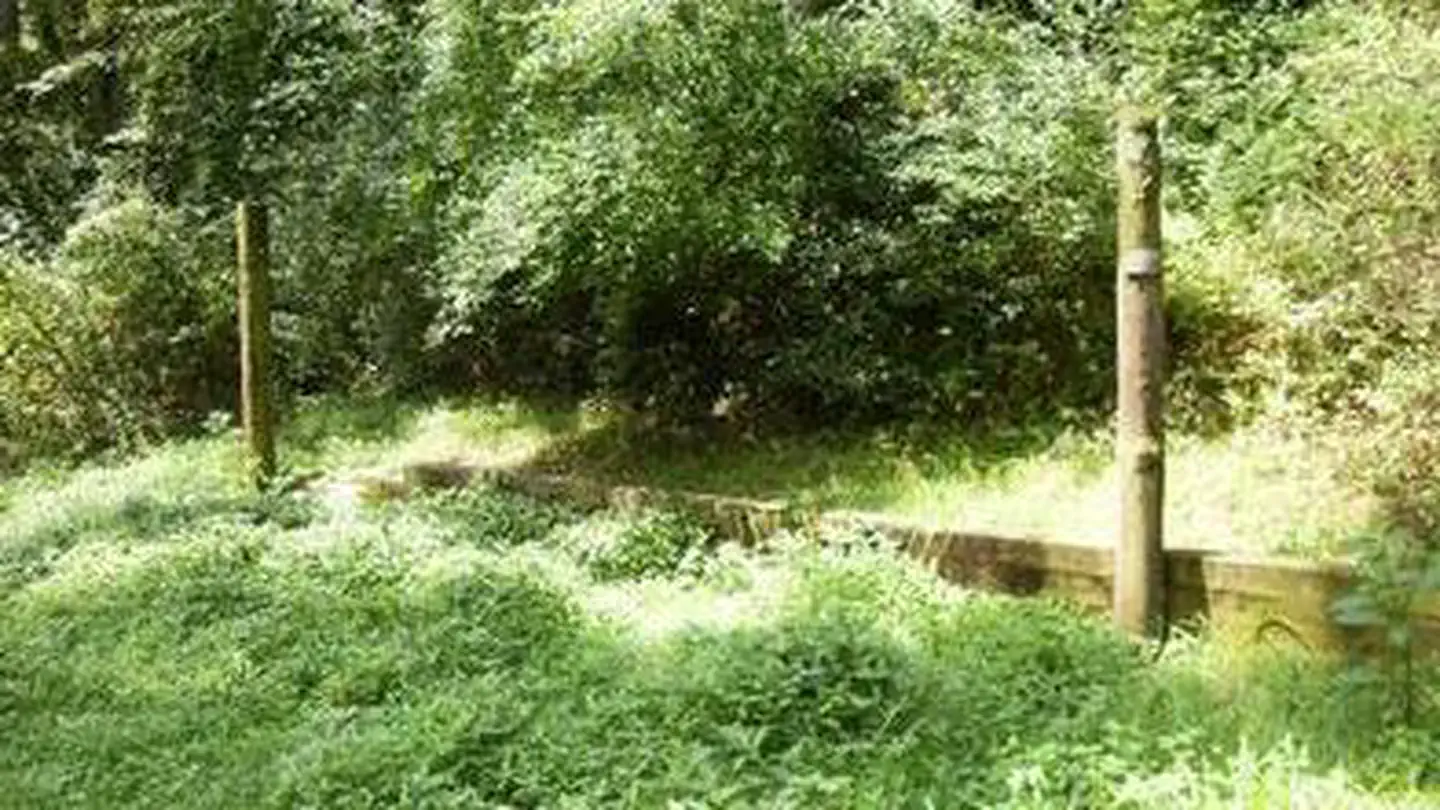 WASH CREEK HORSE CAMP photo