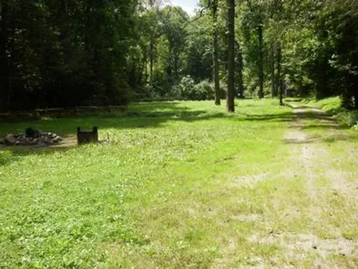 WASH CREEK HORSE CAMP photo 4