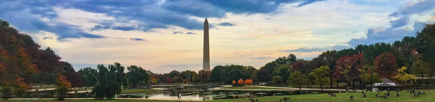 WASHINGTON MONUMENT photo