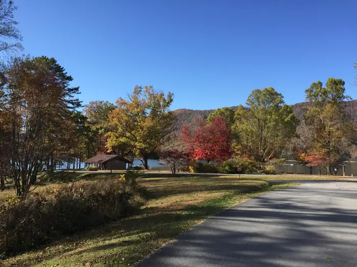 WATAUGA POINT RECREATION AREA photo 4