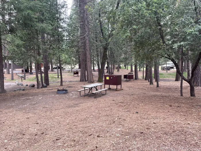 Wawona Campground photo 5