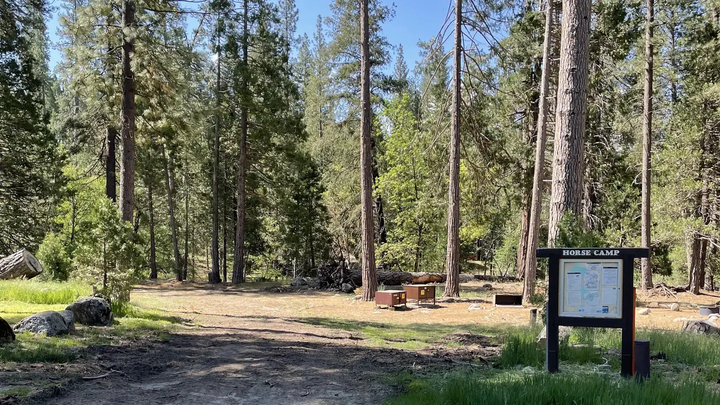 Wawona Horse Campsites photo