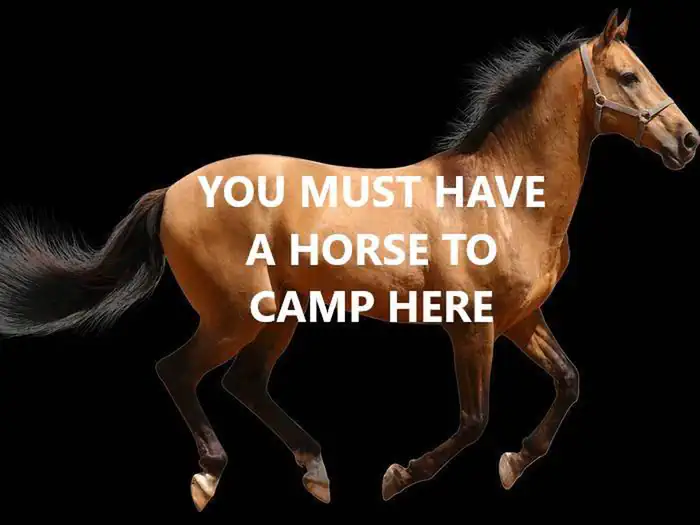Wawona Horse Campsites photo 4