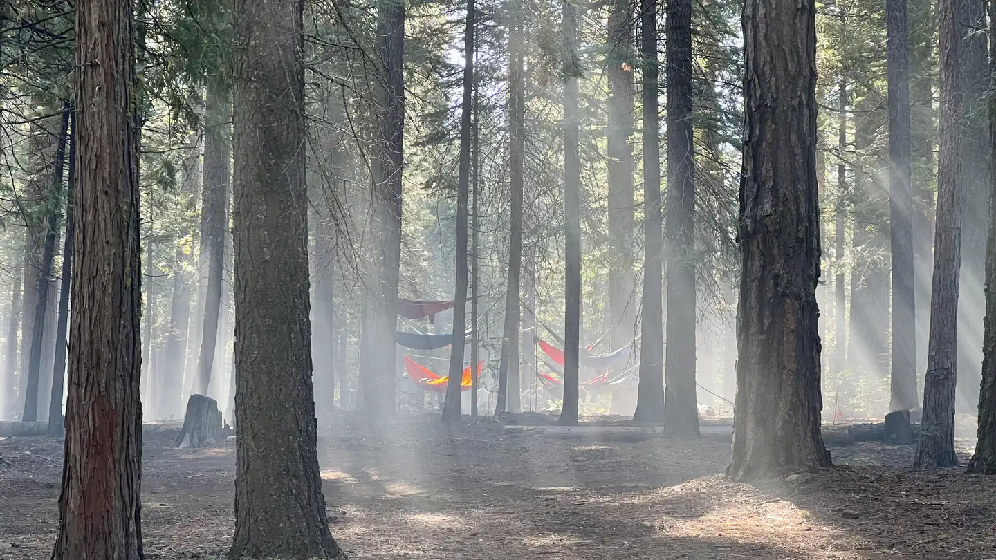 WENCH CREEK photo
