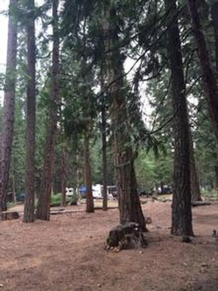 WENCH CREEK photo 2