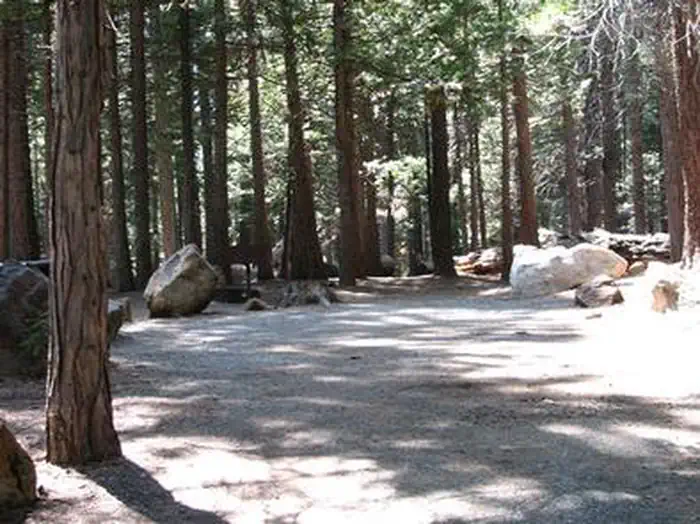 WENCH CREEK photo 3