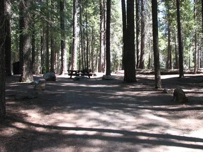 WENCH CREEK photo 4