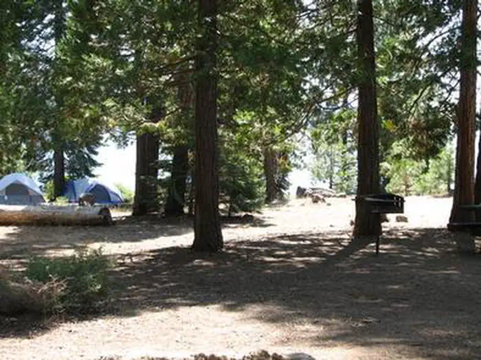 WENCH CREEK photo 5