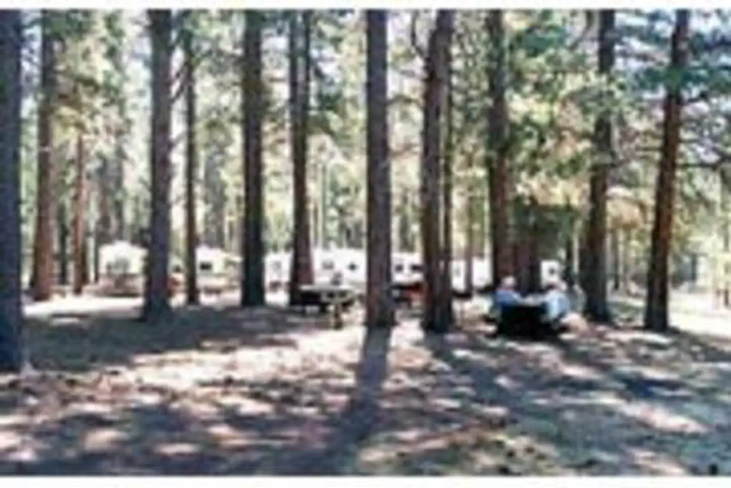 WEST EAGLE CAMPGROUND photo 2