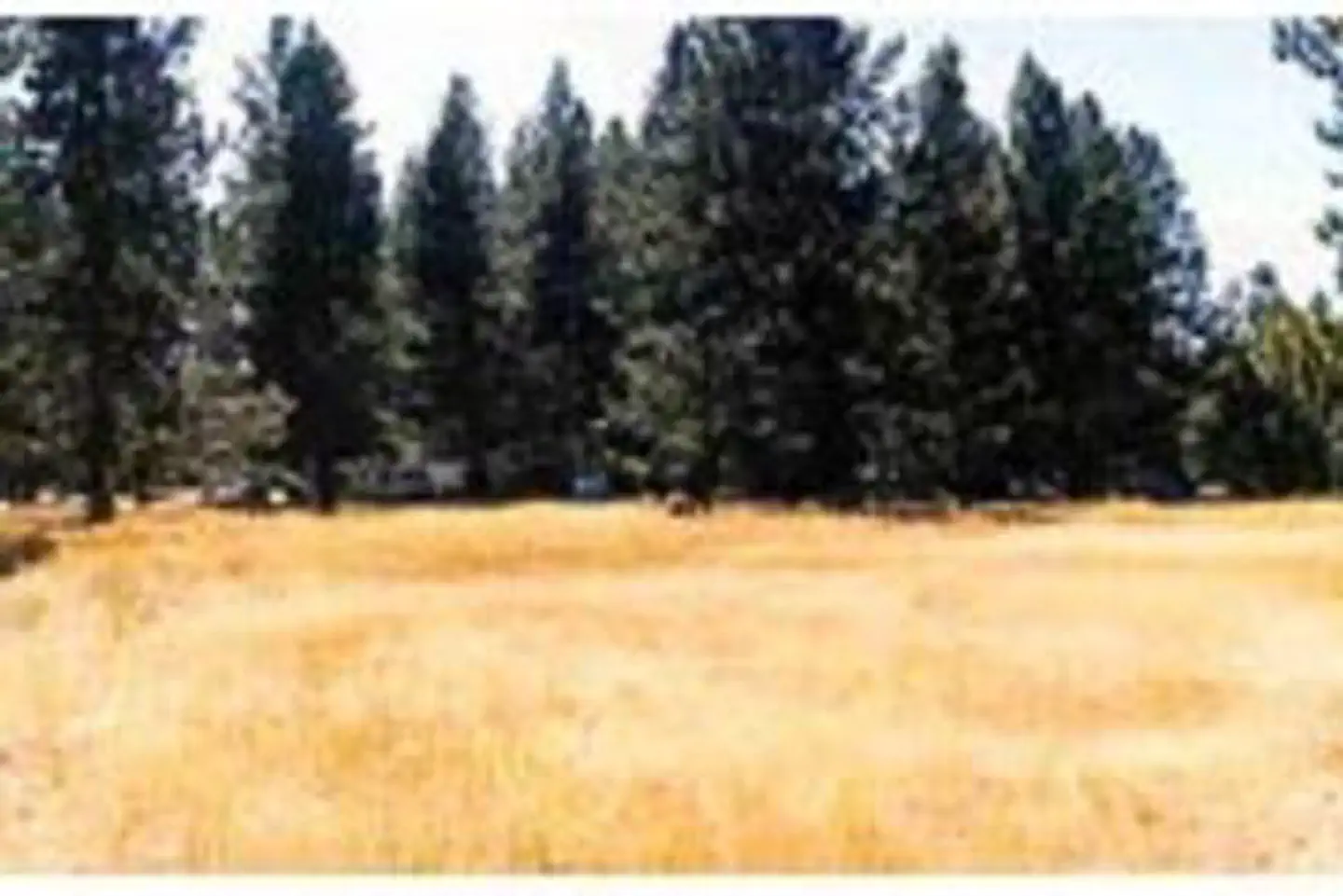 WEST EAGLE CAMPGROUND photo 3
